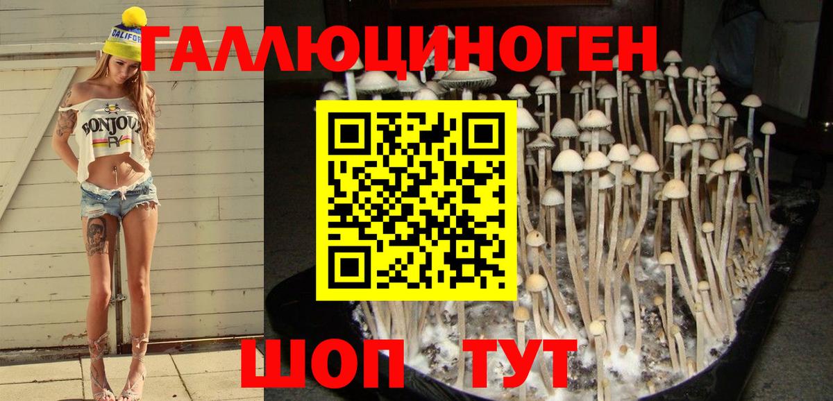 Муром  Псилоцибиновые грибы Magic Shrooms  Вход с VPN  Псилоцибиновые грибы прущие грибы 